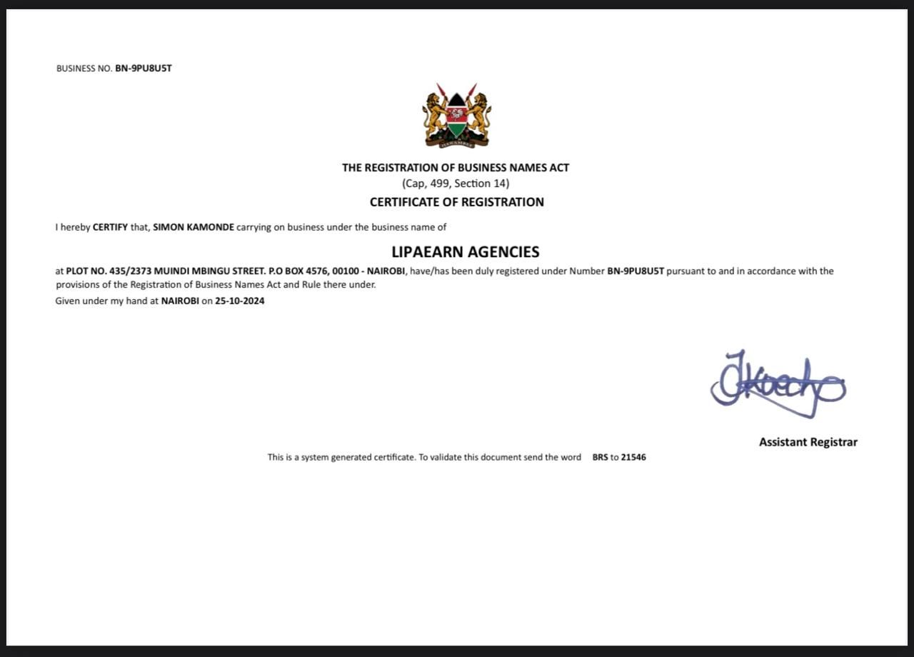 Why Choose StateHela – The Smartest Way to Earn Online