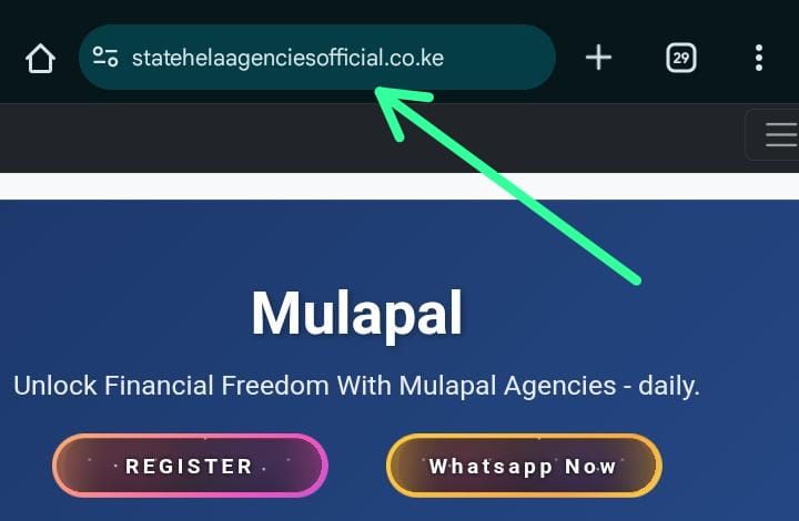 Mulapal Agencies Uganda: Earn Daily Income Online with Simple Digital Tasks