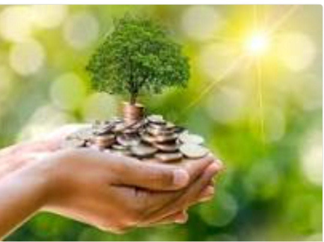 QashEmpire Agencies — Your Trusted Path to Online Earnings